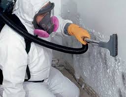 Mold Documentation for Insurance Claims in Aberdeen, MD